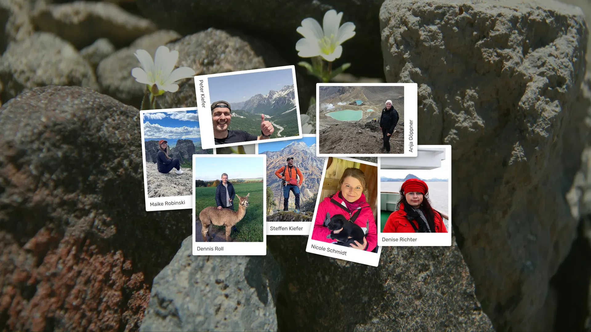 Übersicht des Teams in Polaroids angeordnet