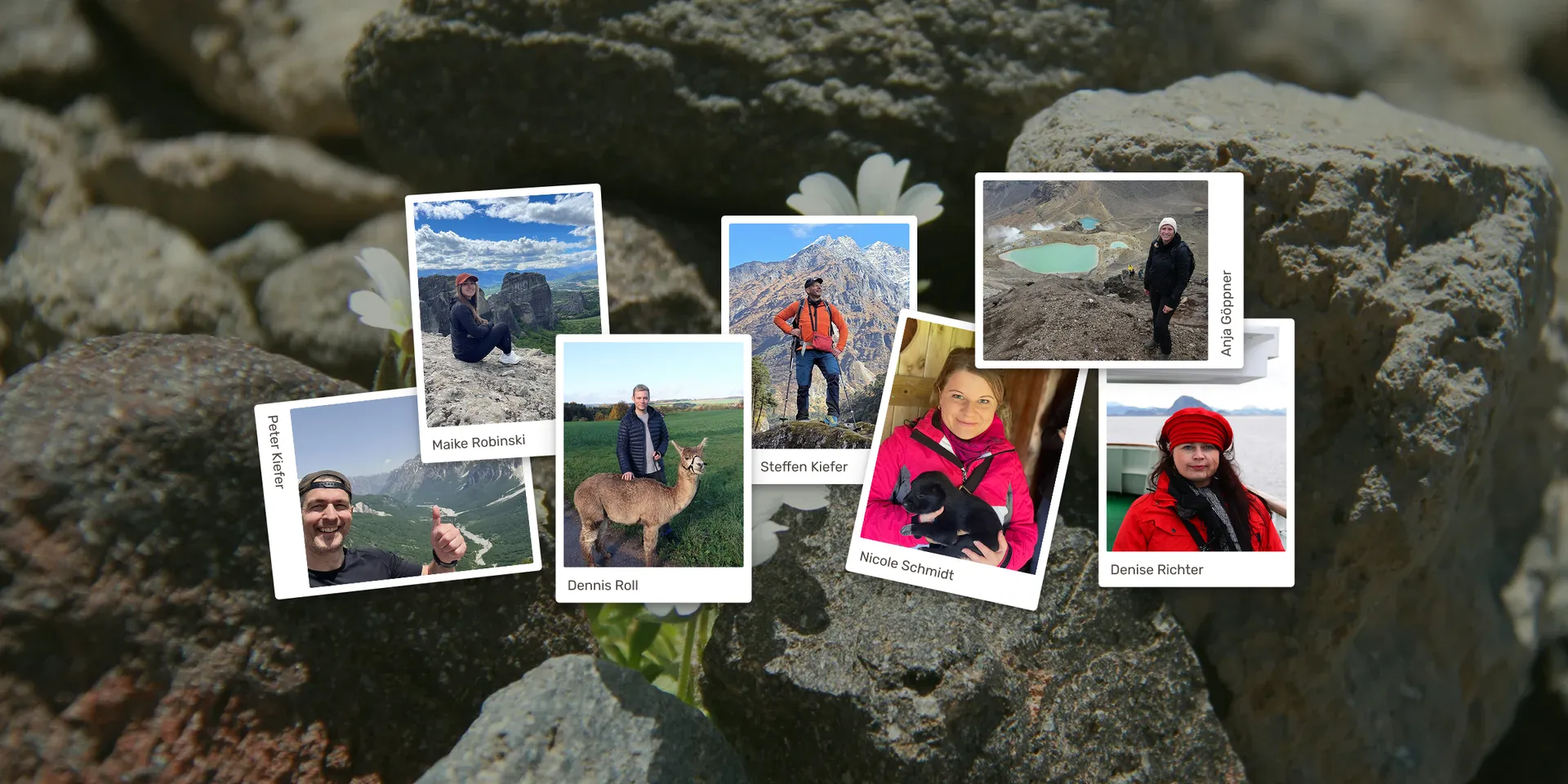 Übersicht des Teams in Polaroids angeordnet